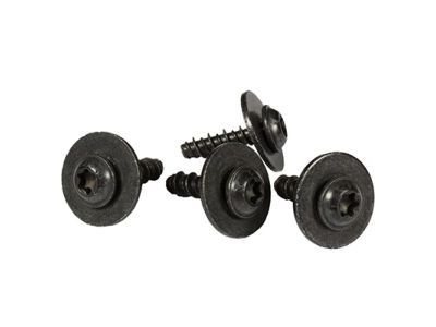 Ford -W702403-S450B Scuff Plate Screw