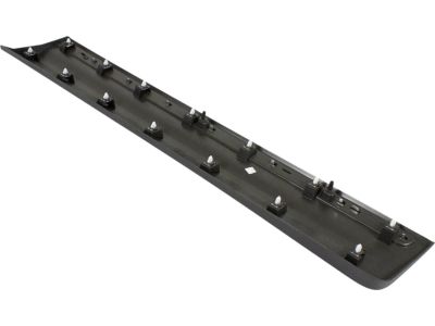 Ford EJ7Z-7820879-AA Side Molding