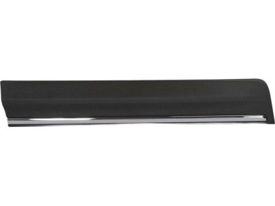 Ford EJ7Z-7820879-AA Side Molding