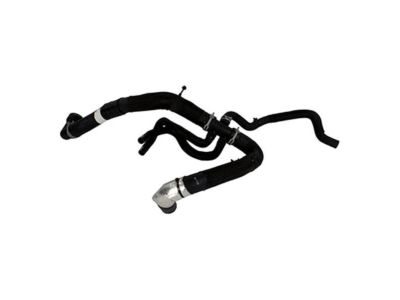 Ford HC2Z-8286-D Lower Hose