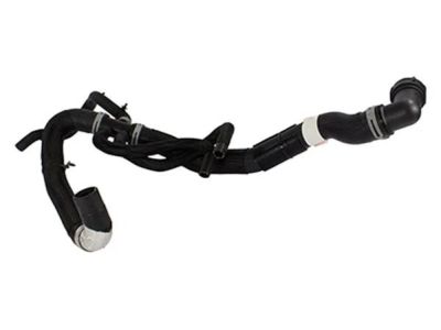 Ford HC2Z-8286-D Lower Hose