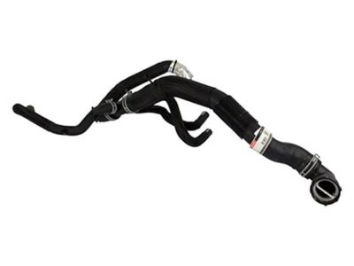 Ford HC2Z-8286-D Lower Hose