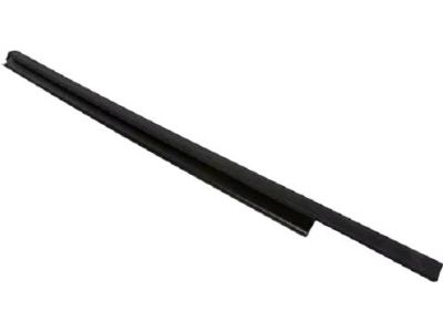 Ford BB5Z-7825596-B Belt Weatherstrip