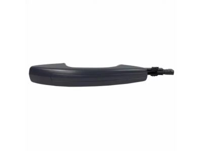 Ford GJ7Z-5422404-ABPTM Handle, Outside