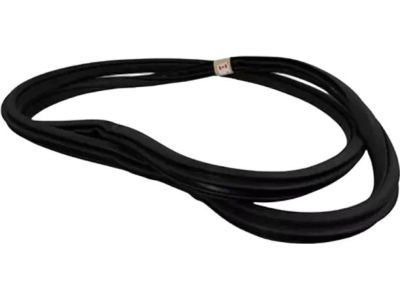 Ford JL1Z-7820708-A Weatherstrip On Body