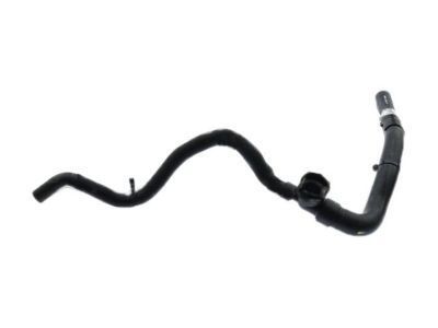 Ford DM5Z-8286-C Lower Hose