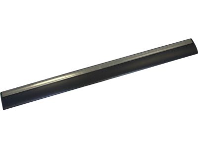 Ford 5W3Z-5420879-BPTM Body Side Molding