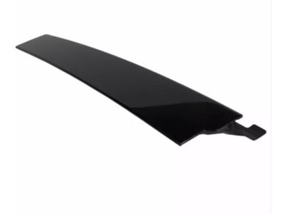 Ford CJ5Z-7820554-AC Applique