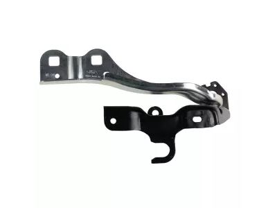 Ford M2DZ-16796-A HINGE ASY - HOOD