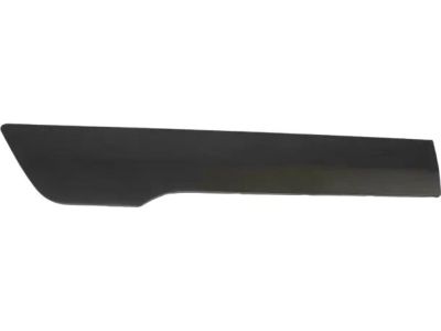 Ford DT1Z-6129076-DB Body Side Molding