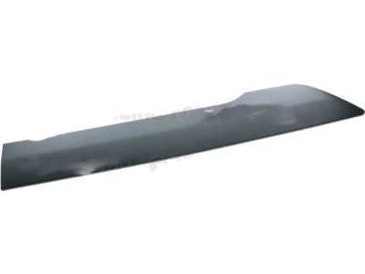 Ford DT1Z-6129076-DB Body Side Molding