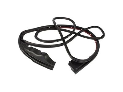 Ford FL3Z-1520530-A Door Weatherstrip