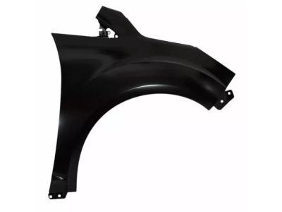 Ford DM5Z-16005-A Fender
