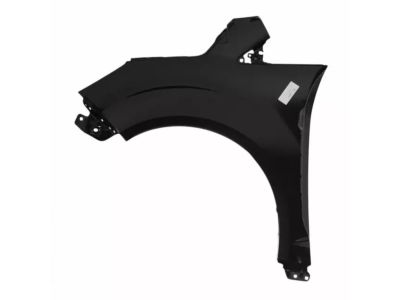 Ford DM5Z-16005-A Fender