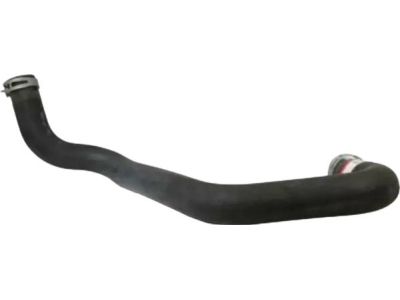 Ford 1C3Z-8286-CA Lower Hose