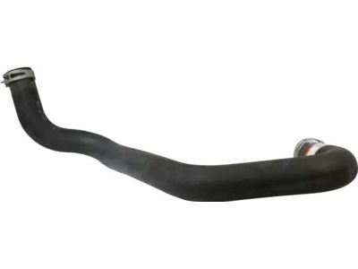Ford 1C3Z-8286-CA Lower Hose