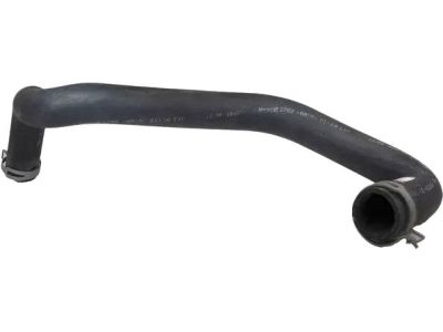 Ford 1C3Z-8286-CA Lower Hose