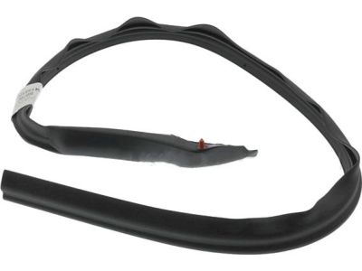 Ford 9L3Z-1551223-A Weatherstrip