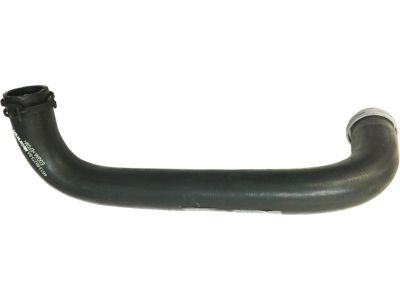 Ford 4W1Z-8286-A Lower Hose