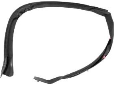 Ford FT4Z-5828124-D Rear Weatherstrip