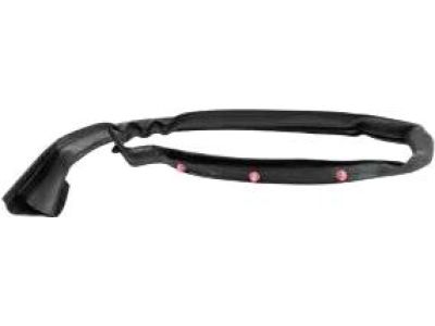 Ford FT4Z-5828124-D Rear Weatherstrip