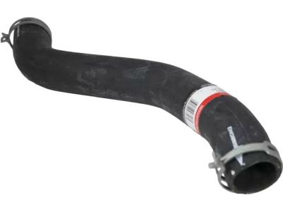 Ford 5C3Z-8260-AC Upper Hose