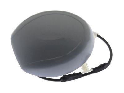 Ford HR3Z-10E893-ACPTM Satellite Ant