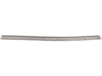 Ford 6F9Z-7425324-A Lower Weatherstrip
