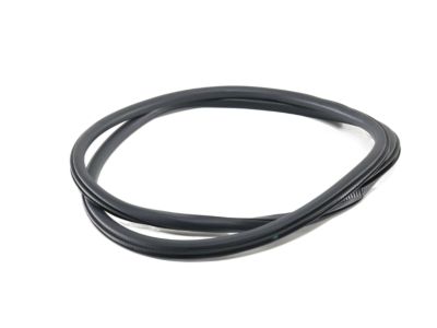 Ford GD9Z-5420708-A Weatherstrip On Body