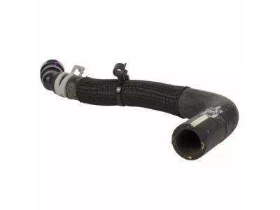 Ford F2GZ-8C289-D Reservoir Hose