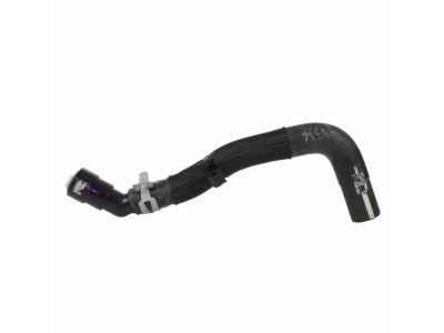 Ford F2GZ-8C289-D Reservoir Hose