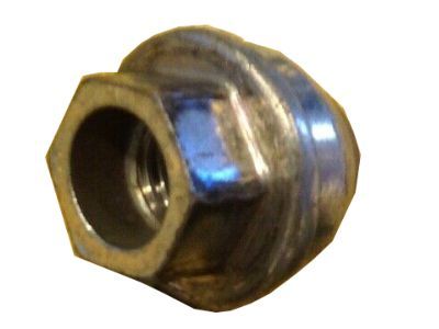 Ford 2L1Z-1012-AA Wheel Nut