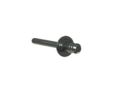 Ford -W707638-S900C Floor Rivet