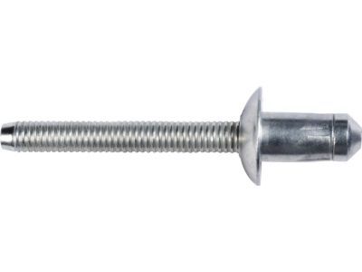 Ford -W707638-S900C Floor Rivet