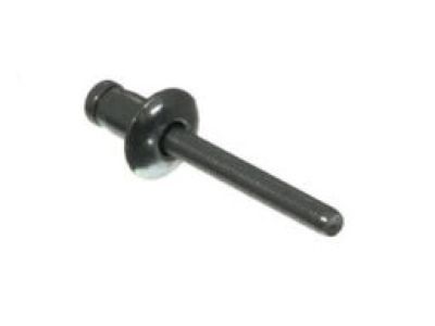 Ford -W707638-S900C Floor Rivet