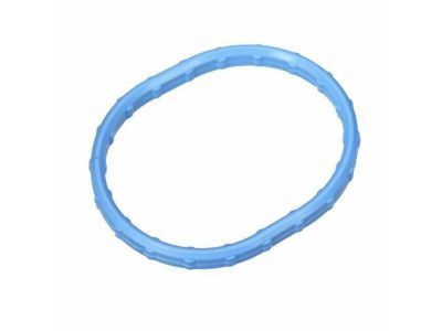 Ford 1L2Z-9461-CA Manifold Gasket