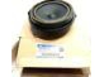 Ford CV6Z-18808-D Rear Door Speaker