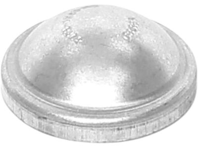 Ford YS4Z-1248-AA Grease Cap