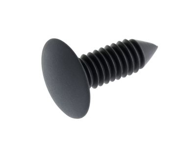 Ford -W703442-SSN2H Rear Sill Plate Retainer