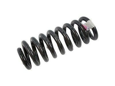 Ford 2C3Z-5310-WA Coil Spring