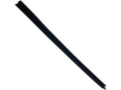 Ford YC3Z-7825596-AA Belt Weatherstrip