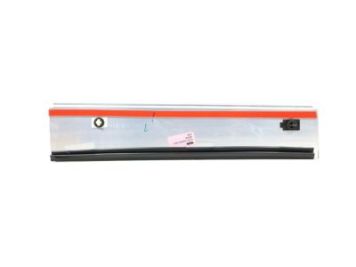 Ford 5L3Z-1620554-AAA Upper Molding