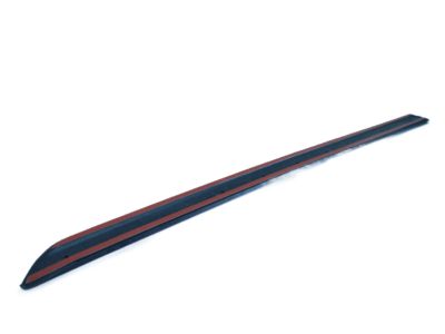 Ford 5S4Z-6120939-AAPTM Body Side Molding