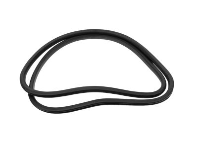 Ford LB5Z-78253A10-A Weatherstrip On Body