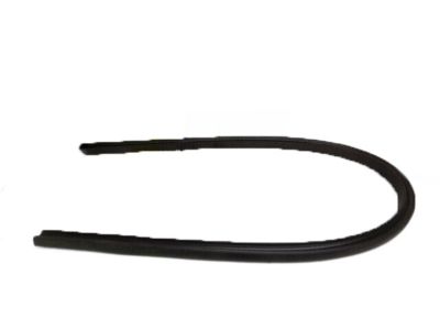 Ford 3L8Z-7825354-A Side Seal