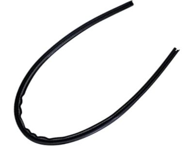 Ford 3L8Z-7825354-A Side Seal