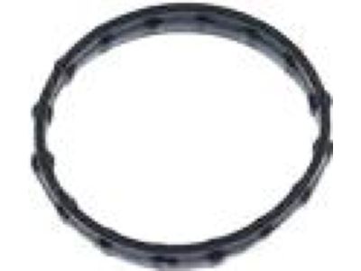 Ford HL3Z-8507-D Thermostat Housing O-Ring