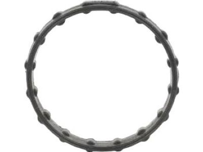 Ford HL3Z-8507-D Thermostat Housing O-Ring