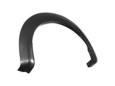 Ford HL3Z-9929164-AA Wheel Opening Molding