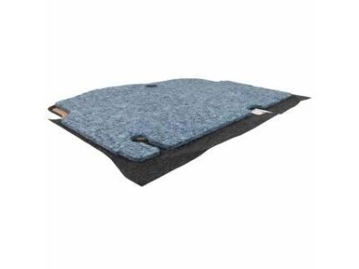 Ford BE8Z-5813046-AA Floor Cover